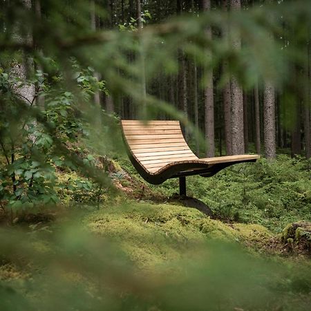 Forstgut - Premium Waldchalets Und Lodge Suiten Regen Exterior foto