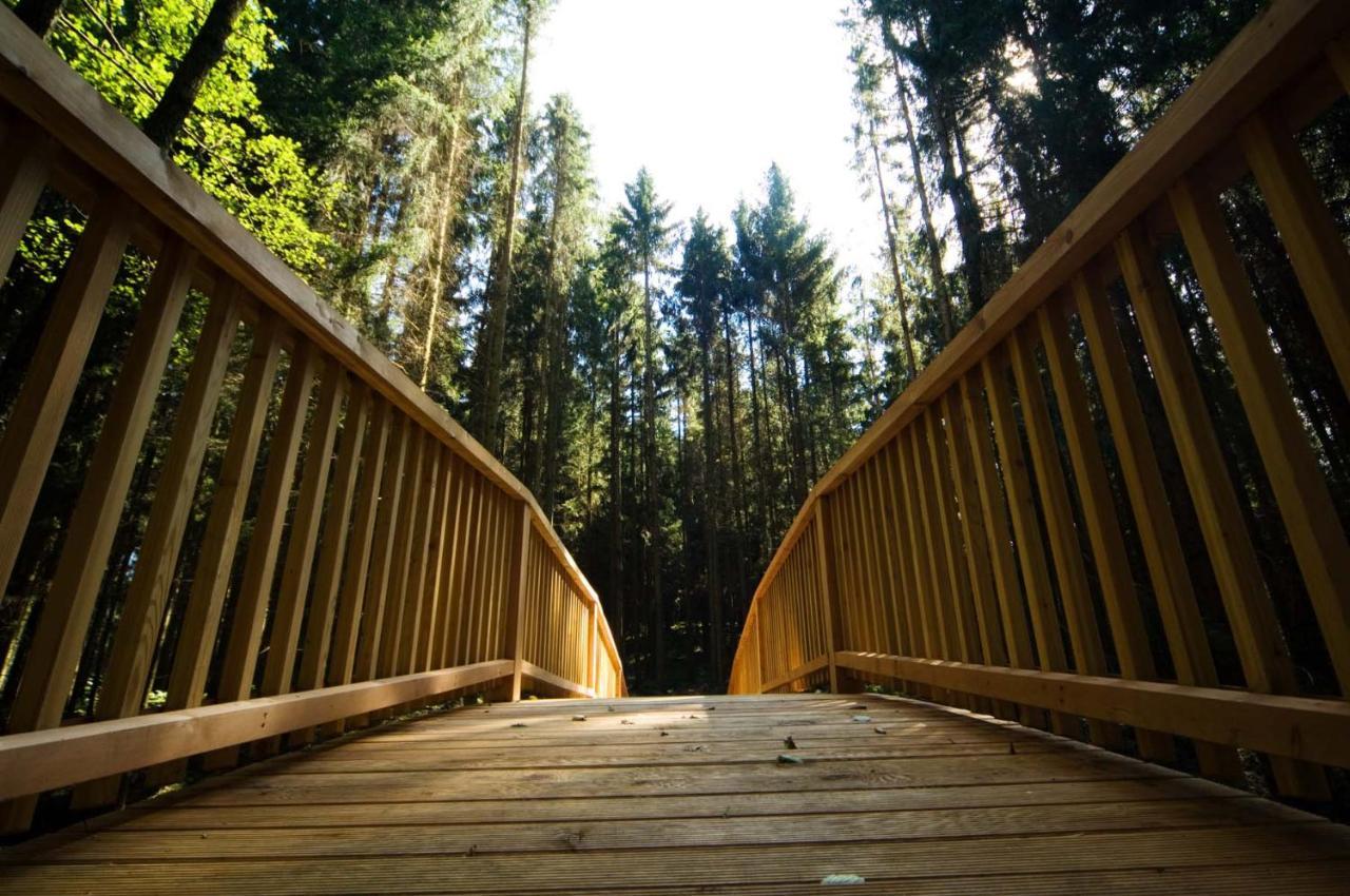 Forstgut - Premium Waldchalets Und Lodge Suiten Regen Exterior foto