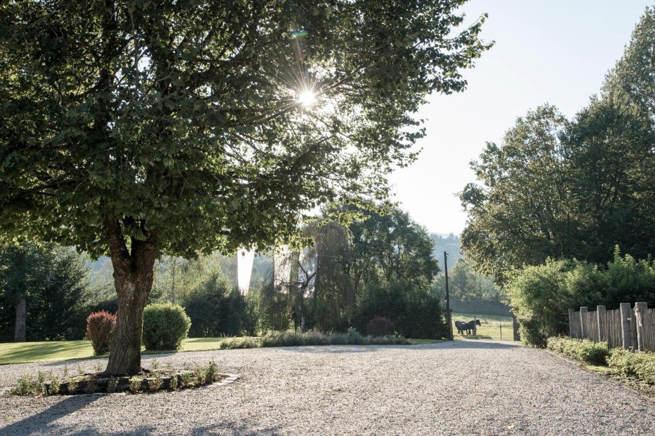 Forstgut - Premium Waldchalets Und Lodge Suiten Regen Exterior foto